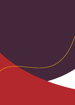 SCU brand background 