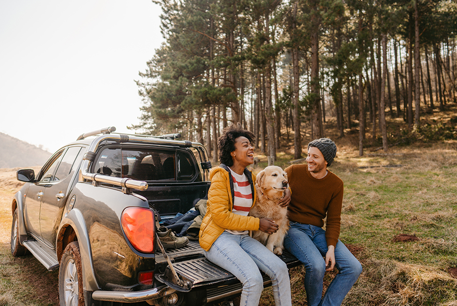 Couple sitting in the back of a truck with their dog