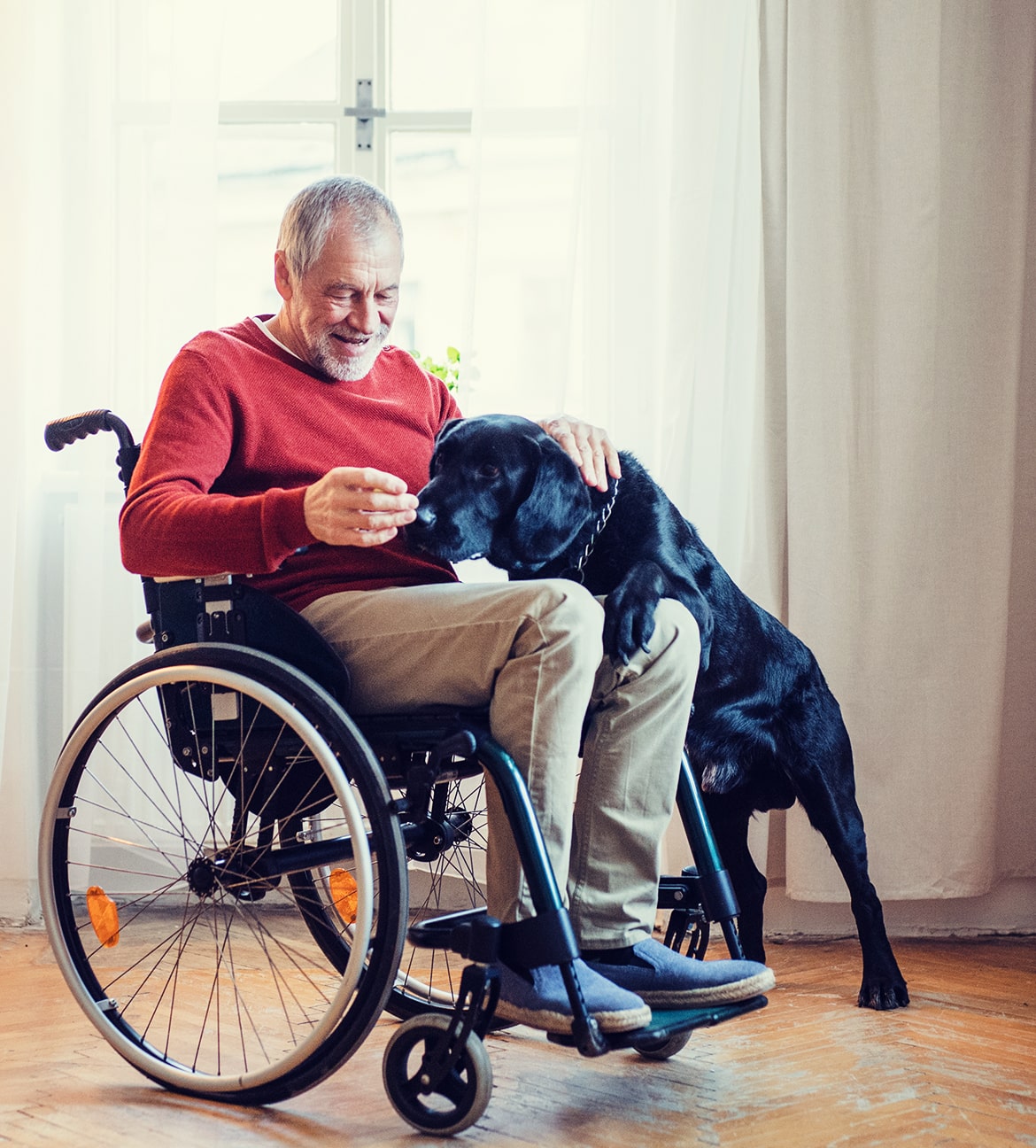Man in wheelchair petting dog
