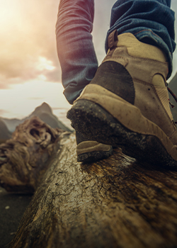 Feet walking on a log